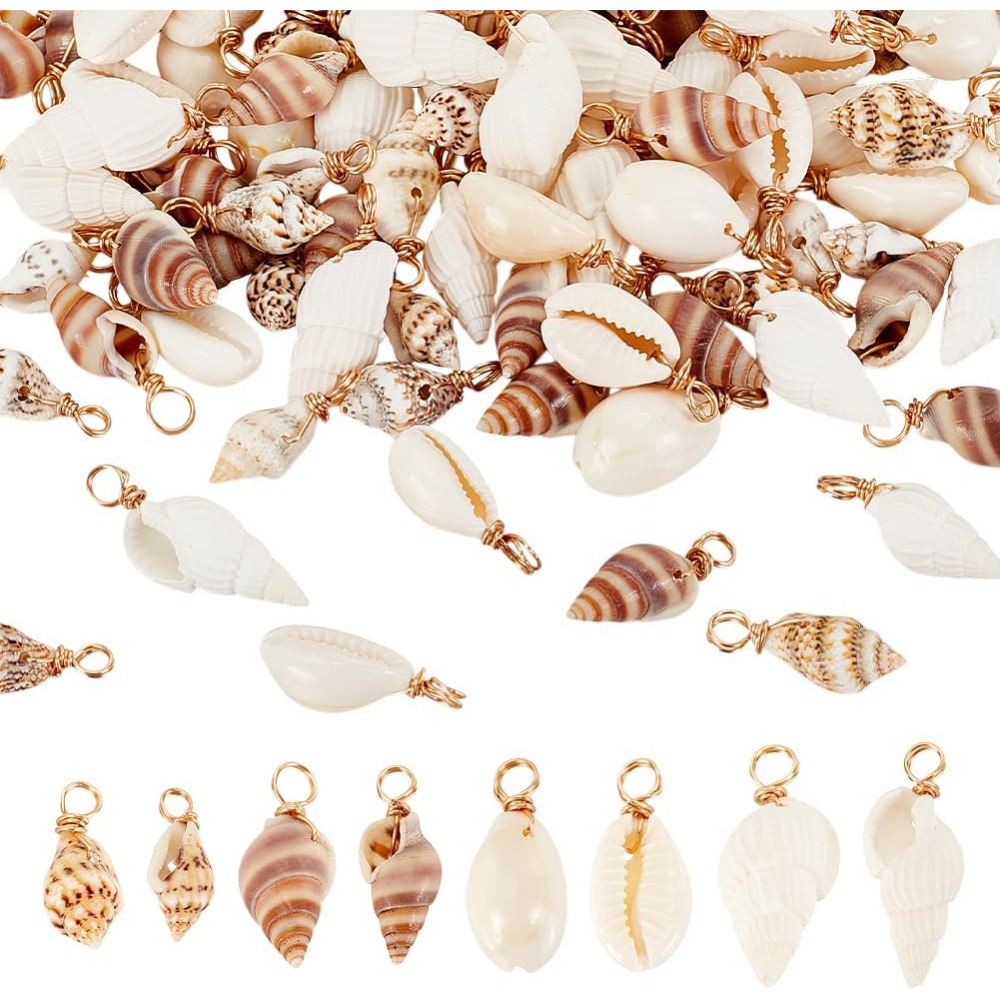 Jewelry Making Kit - 100 قطعة 4 أنماط قذيفة الطبيعية