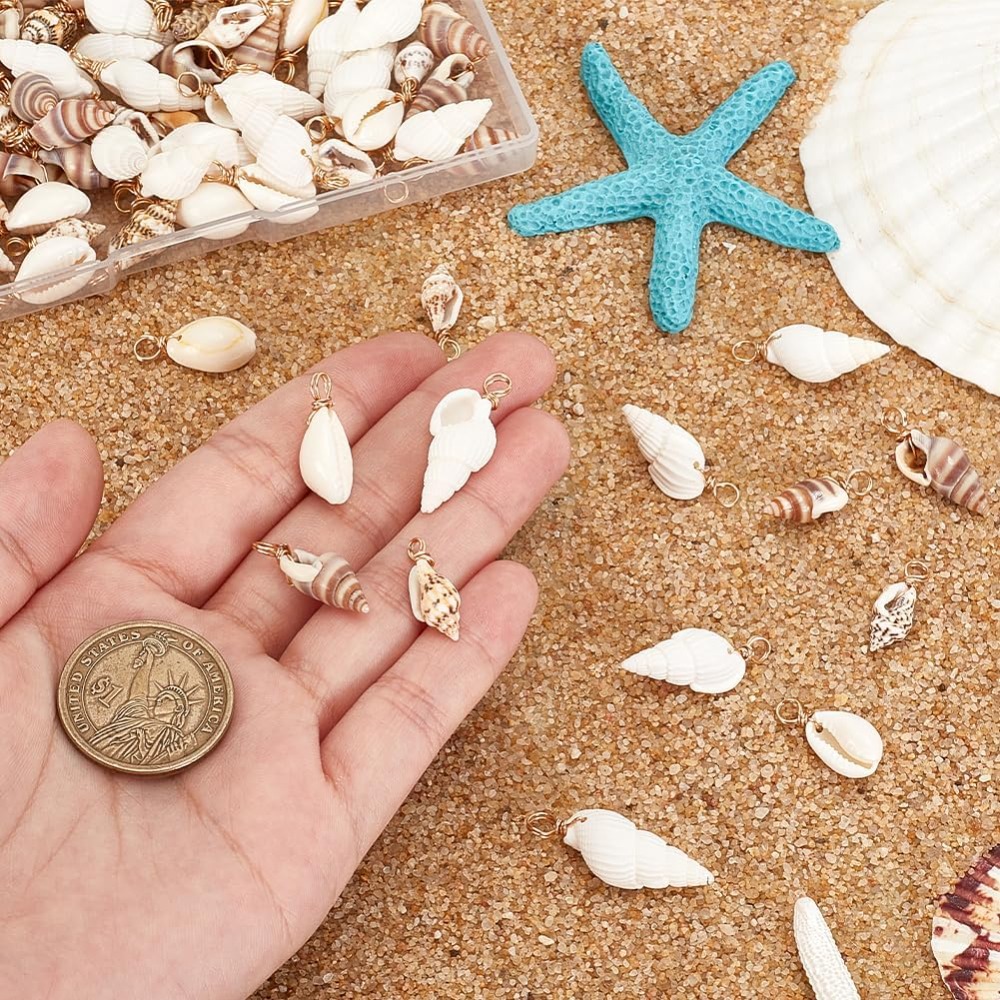 100 قطعة 4 أنماط قذيفة الطبيعي - مراجعة Jewelry Making Kit وسعره